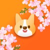 免费隐私高清播放器 